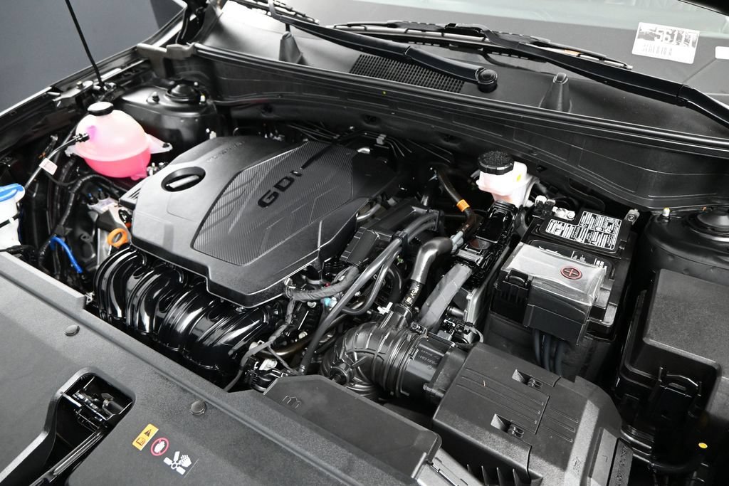 Used 2024 Ebony Black Kia X-Line image 23