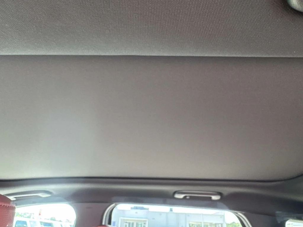 New 2026 Panthera Metal Matte Kia SX Prestige image 7