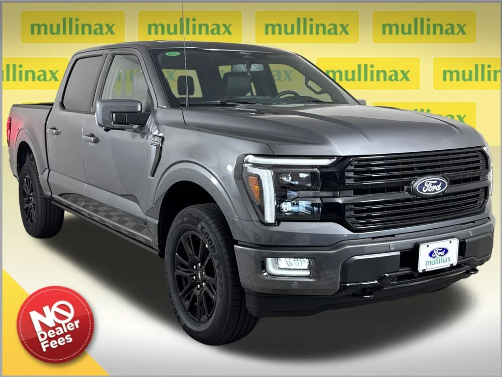 New 2026 Gray Ford Platinum image 1
