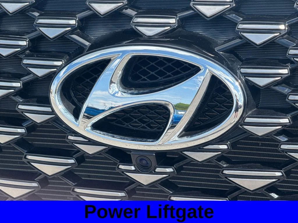 Used 2022 Rainforest Hyundai Calligraphy image 16