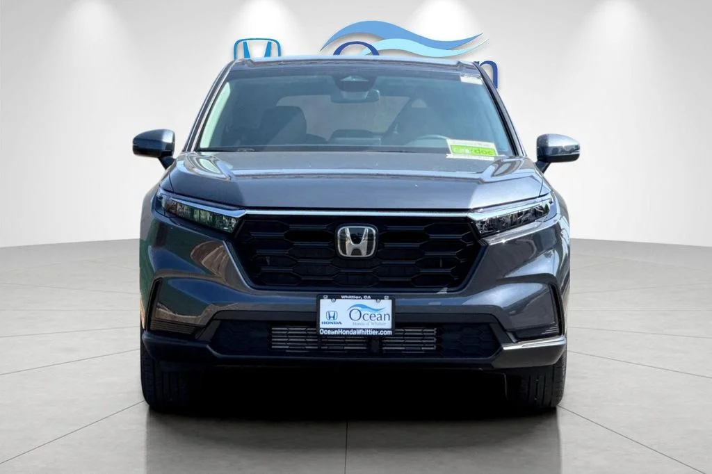 New 2026 Meteorite Gray Metallic Honda LX image 9