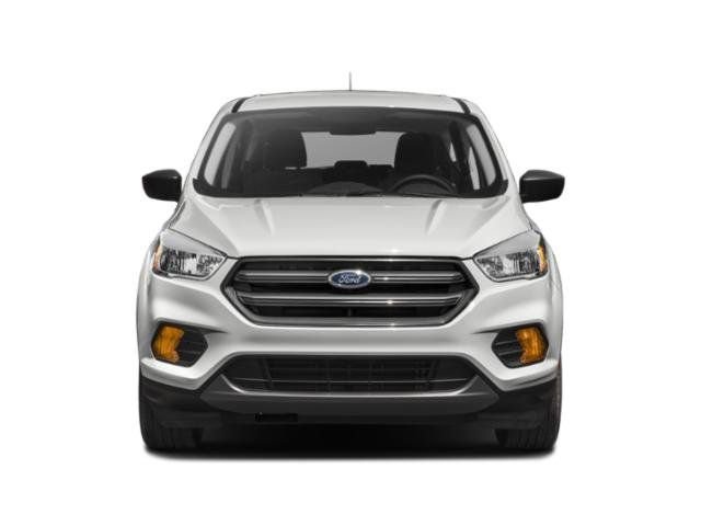Used 2019 White Ford SEL image 4