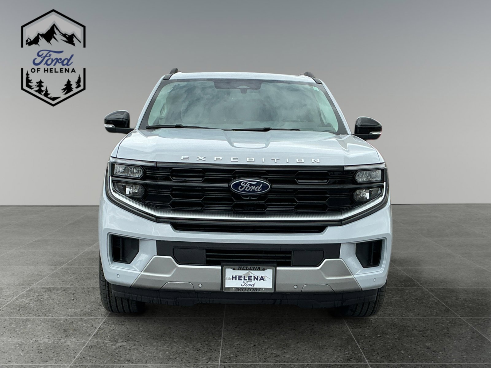 New 2026 Space Silver Metallic Ford Platinum image 8