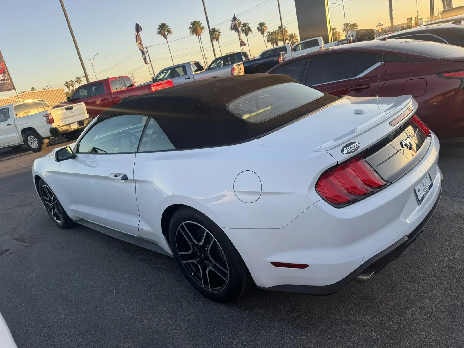 Used 2023  Ford EcoBoost image 7