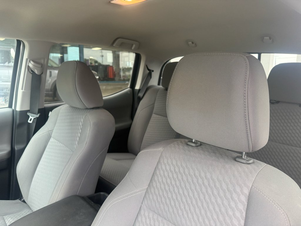 Used 2023 Ice Cap Toyota SR5 image 3