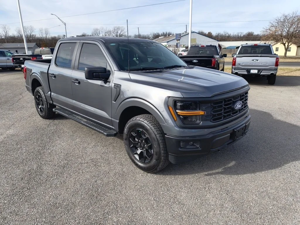 2025 Ford F-150 STX - Photo 8