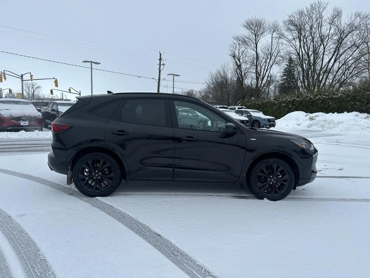 New 2026 Black Ford St-Line Elite image 4