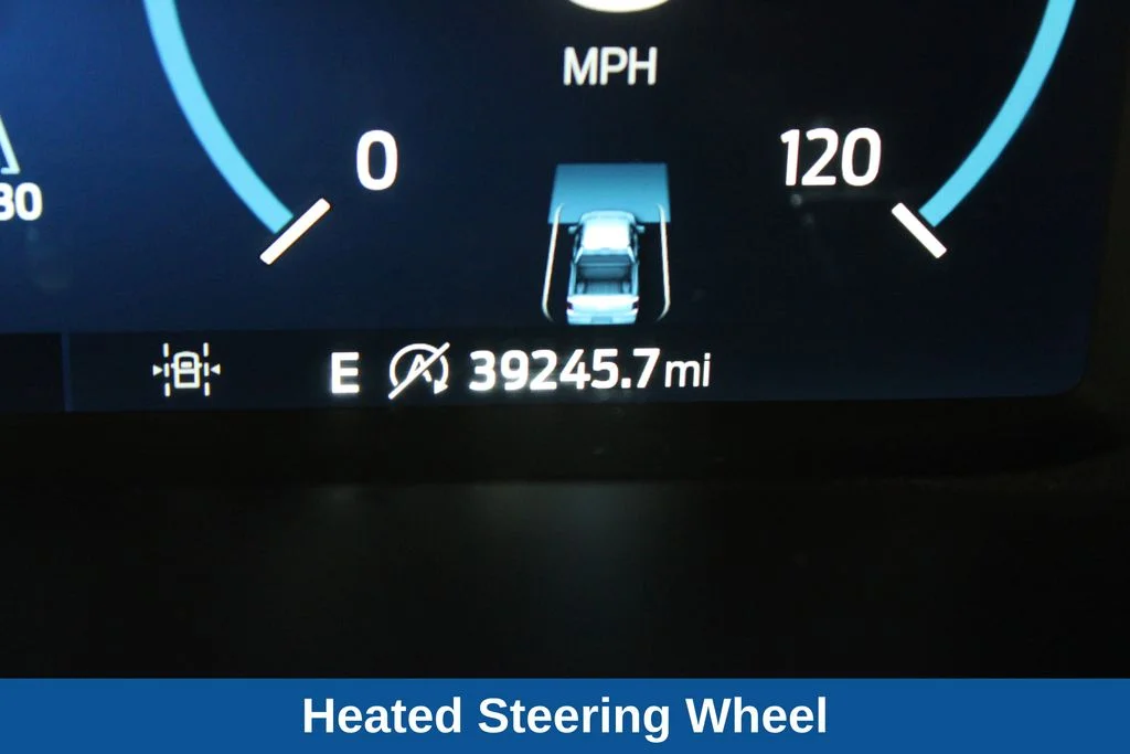 Used 2021 Silver Ford Platinum image 5