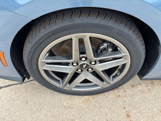2025 Ford Mustang EcoBoost Fastback - Photo 10