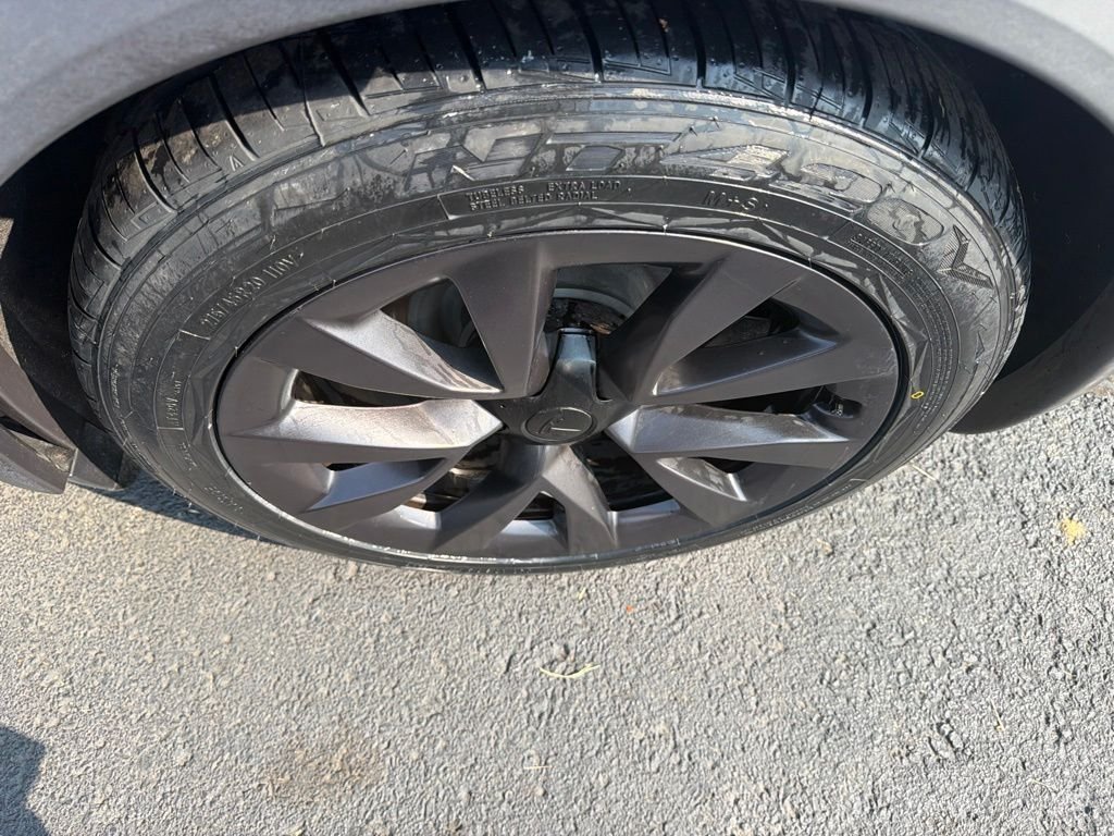 Used 2023 Blue Tesla Base image 11