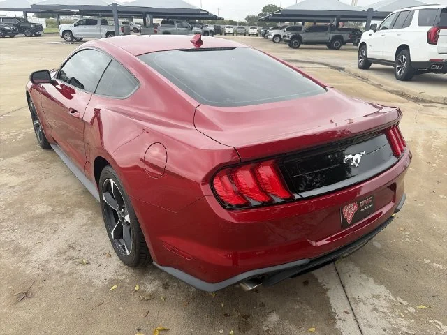 Used 2021 Red Ford EcoBoost image 5