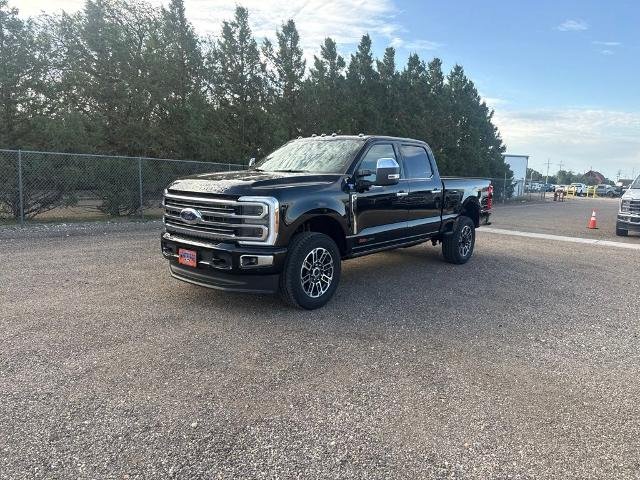 New 2026 Agate Black Metallic Ford Platinum image 44