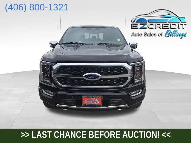 2022 Ford F-150 Platinum