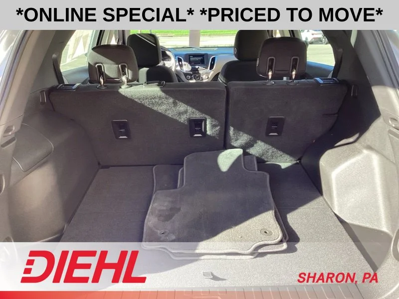 Used 2019 Silver Chevrolet LS image 17