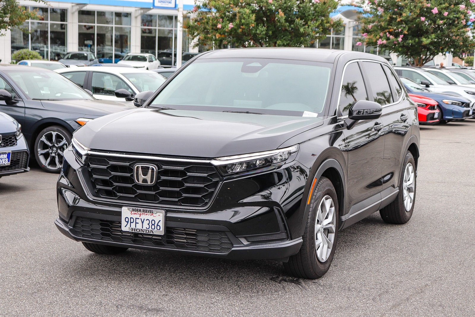 Used 2025 Crystal Black Pearl Honda LX image 3