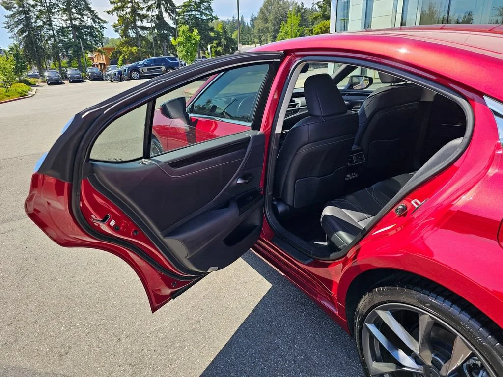 Used 2019 Maroon Lexus ES 300h image 15