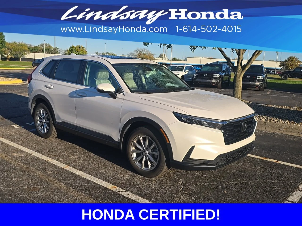 Used 2024 Platinum White Pearl Honda EX image 2