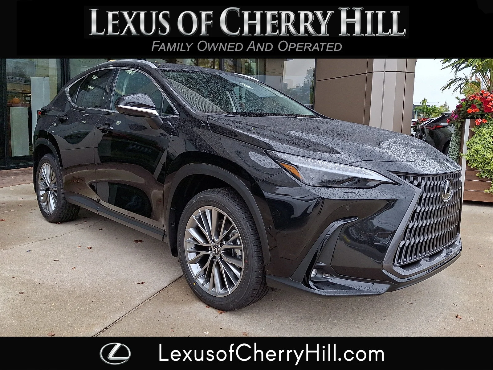 2026 Lexus NX