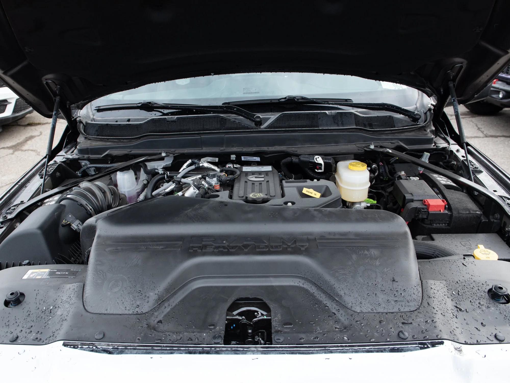 New 2026 Grey RAM Limited* image 11