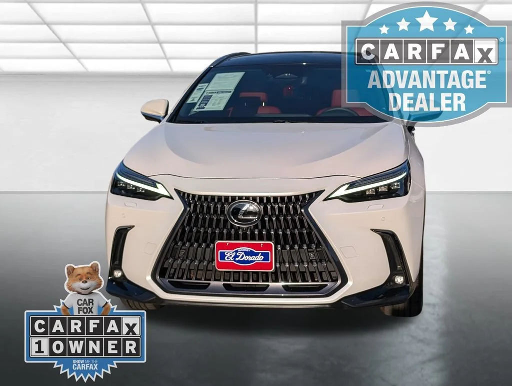 Used 2025 White Lexus Luxury image 28