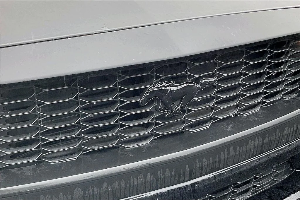 New 2026 Shadow Black Ford EcoBoost® Fastback image 29