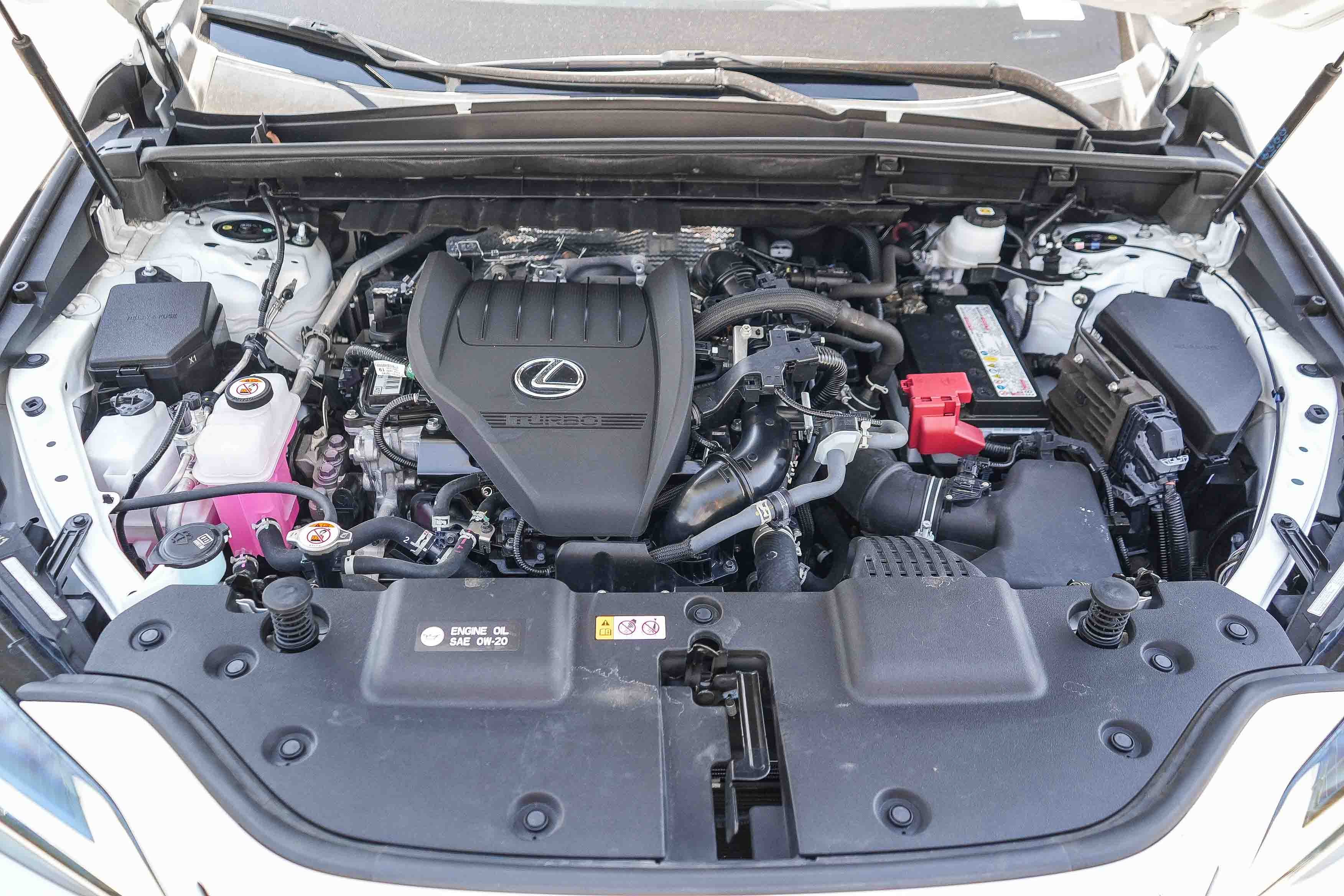 Used 2024 EMINENT WHITE PEA Lexus NX 350 image 27