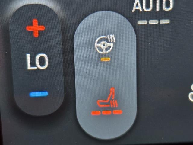 Used 2024 Agate Black FORD SEL image 19