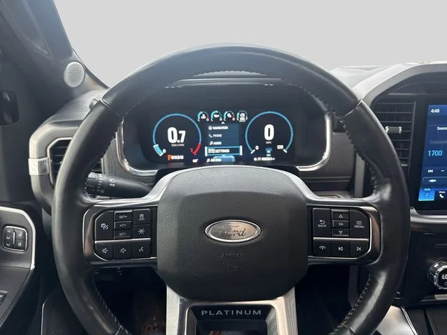 Used 2021 Gray Ford Platinum image 10