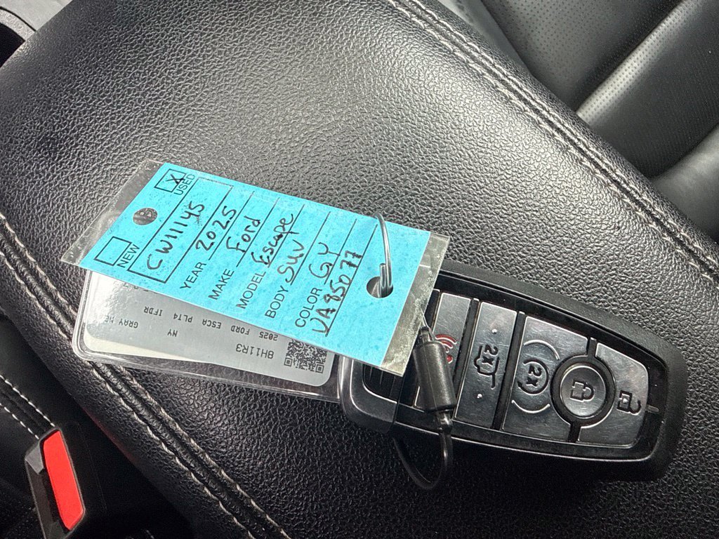 Used 2025 Gray Ford Platinum image 36