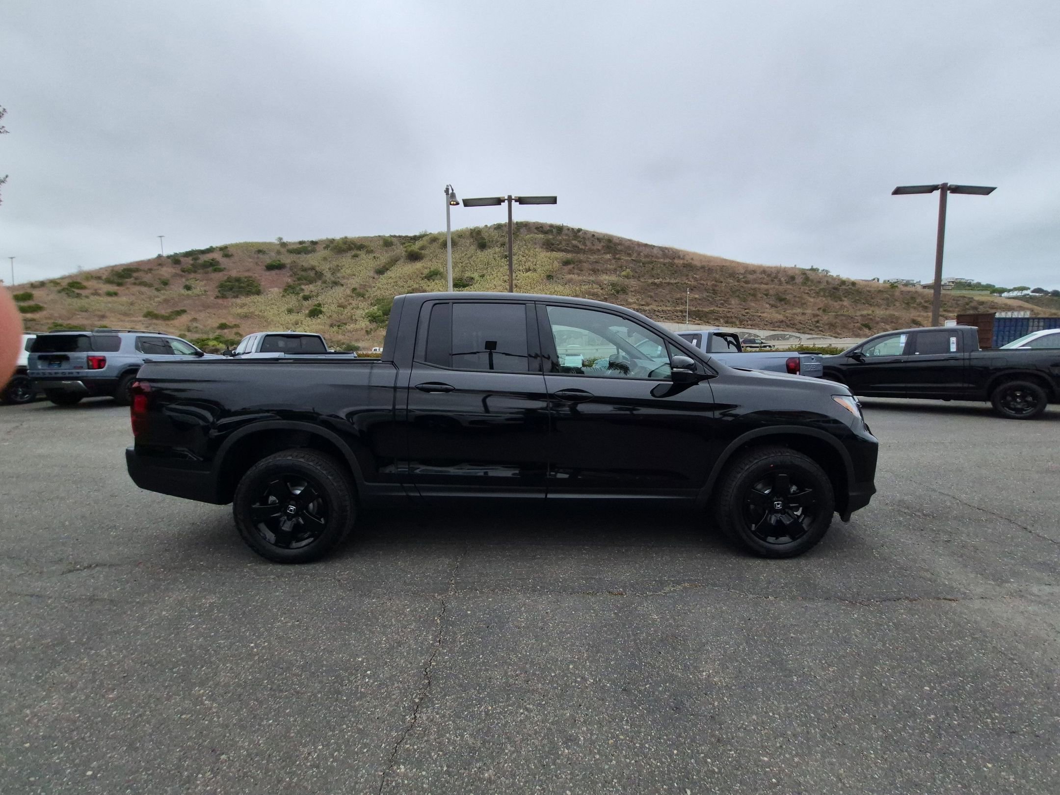 New 2026 Crystal Black Pearl Honda Black Edition image 8