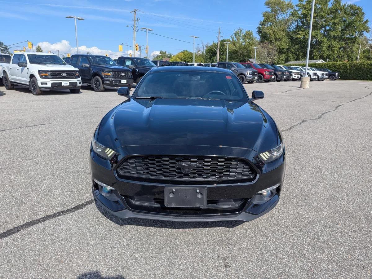 Used 2015 Black Ford 2dr Fastback image 2