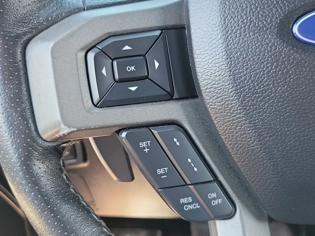Used 2017 Avalanche Ford Raptor image 5