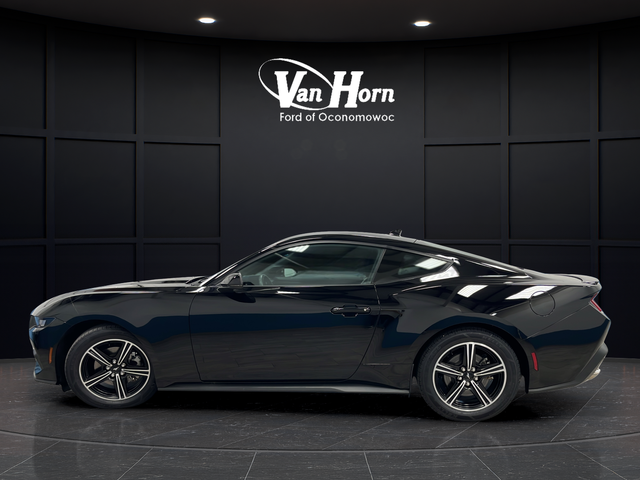 Used 2025 Shadow Black Ford EcoBoost Premium image 4