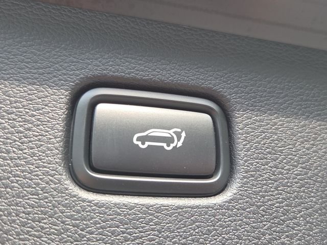 New 2026 Black Kia X-Line image 13
