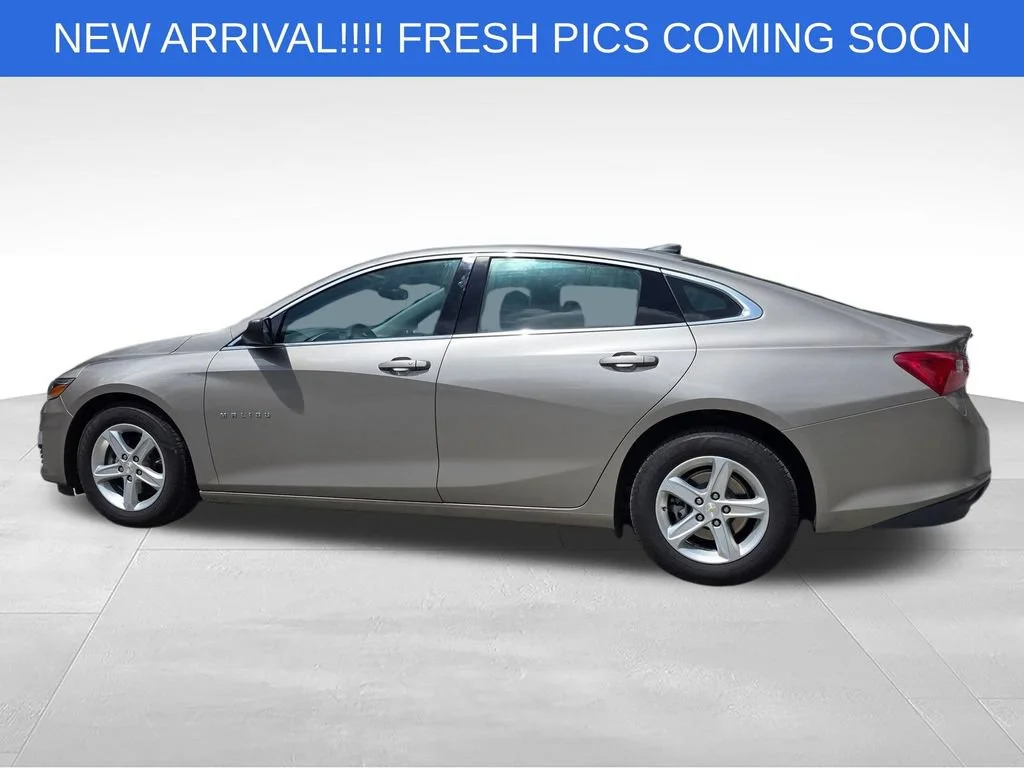 Used 2024 Mineral Gray Metallic Chevrolet LS image 3