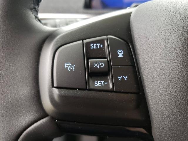 New 2026 Shadow Black Ford Premium image 48