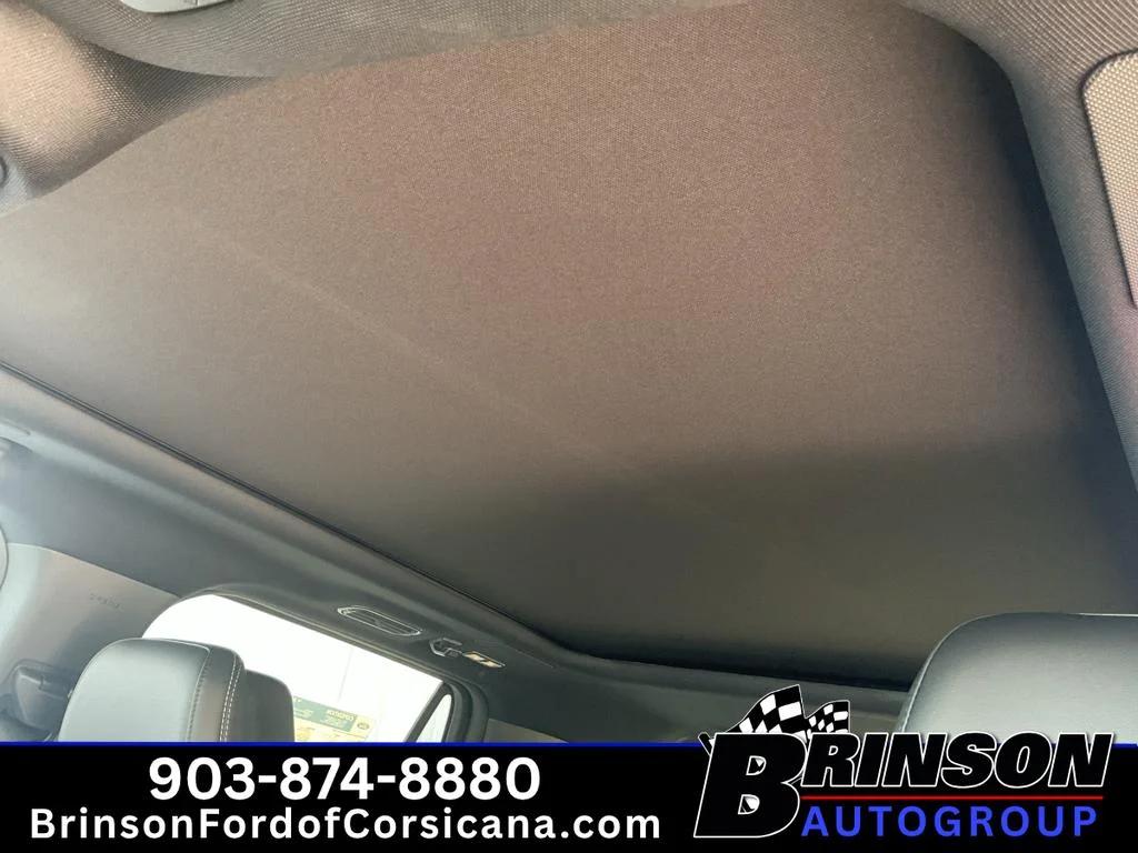 New 2027 Glacier Gray Metallic Tri-Coat Ford Platinum image 13