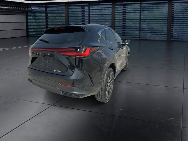 Certified Used 2023 Black Lexus 250 Premium image 8
