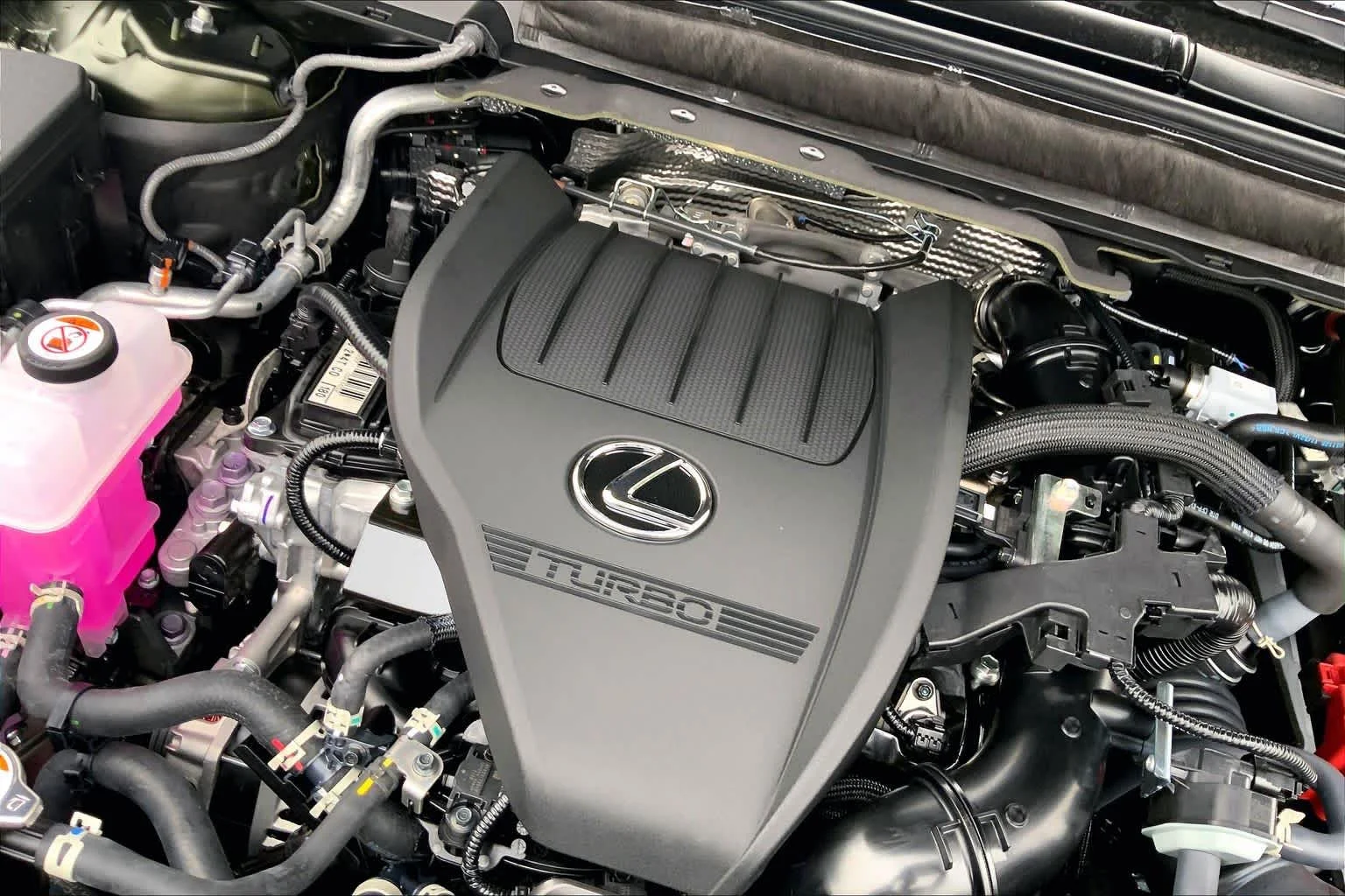 New 2026 Nori Green Pearl Lexus PREMIUM image 17