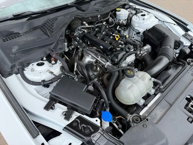 2023 Ford Mustang EcoBoost - Photo 34