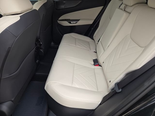 2026 Lexus NX 450h+ Luxury - Photo 8