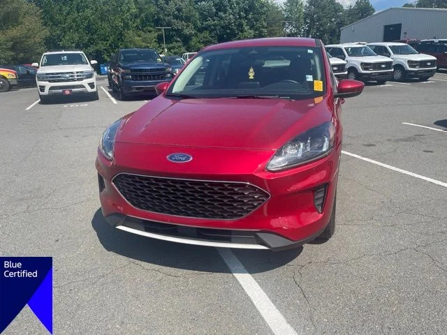 Used 2020 Red Ford SE image 2