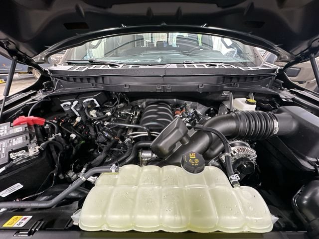 New 2026 Marsh Gray Ford Tremor® image 22