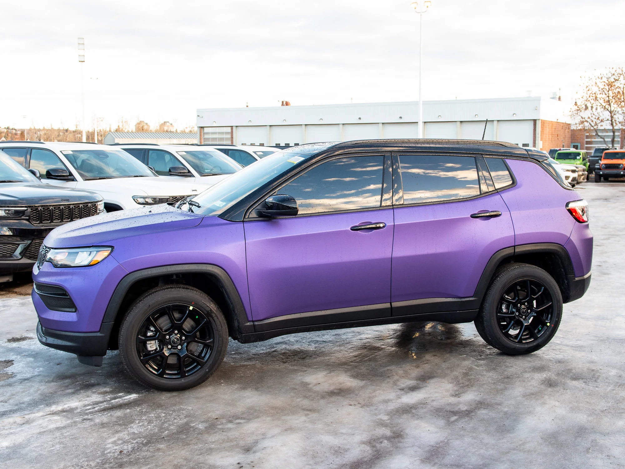 Used 2026 Black Jeep North* Custom Wrap image 2