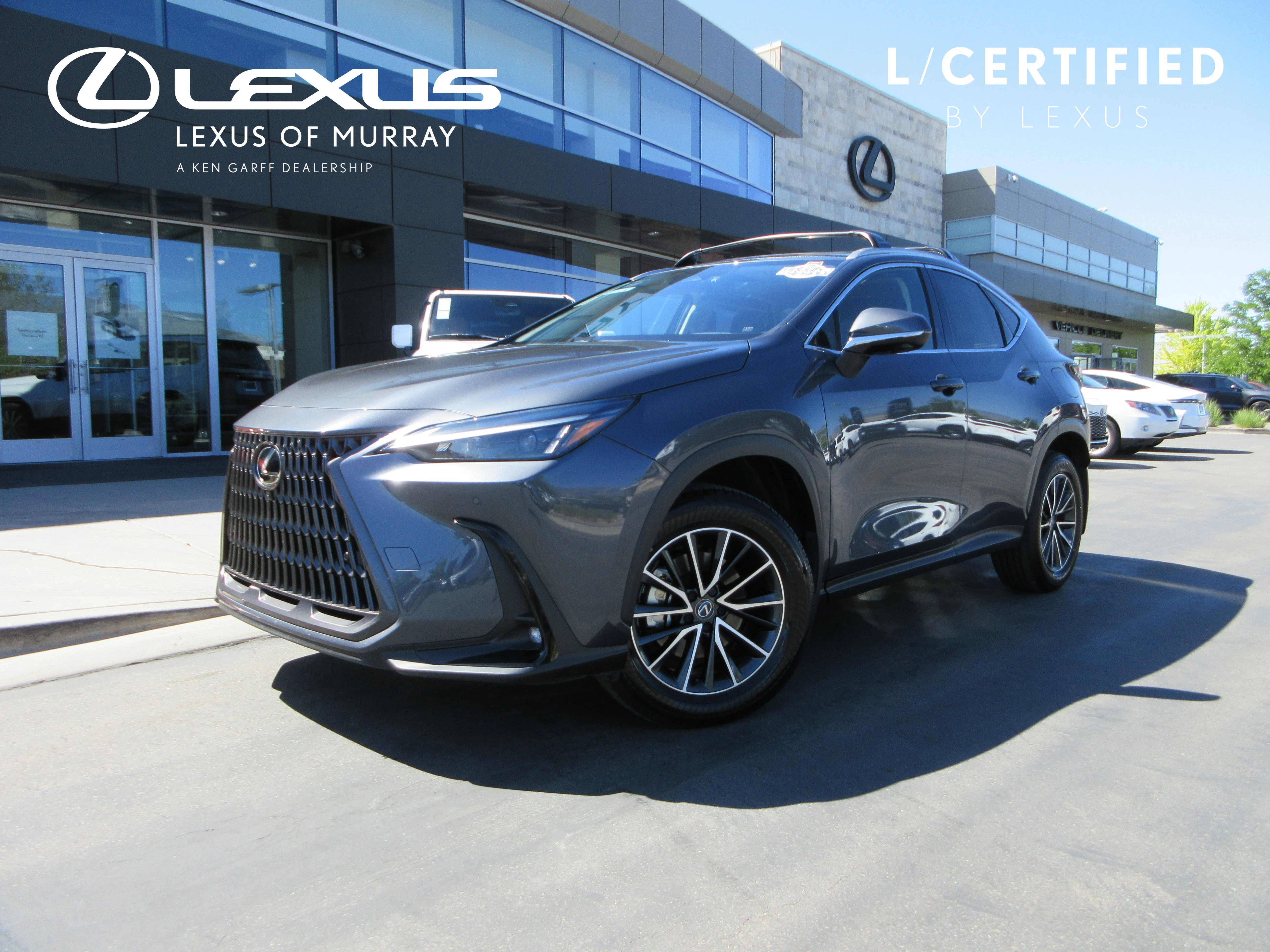 2025 Lexus NX 350h 350h Premium AWD's photo