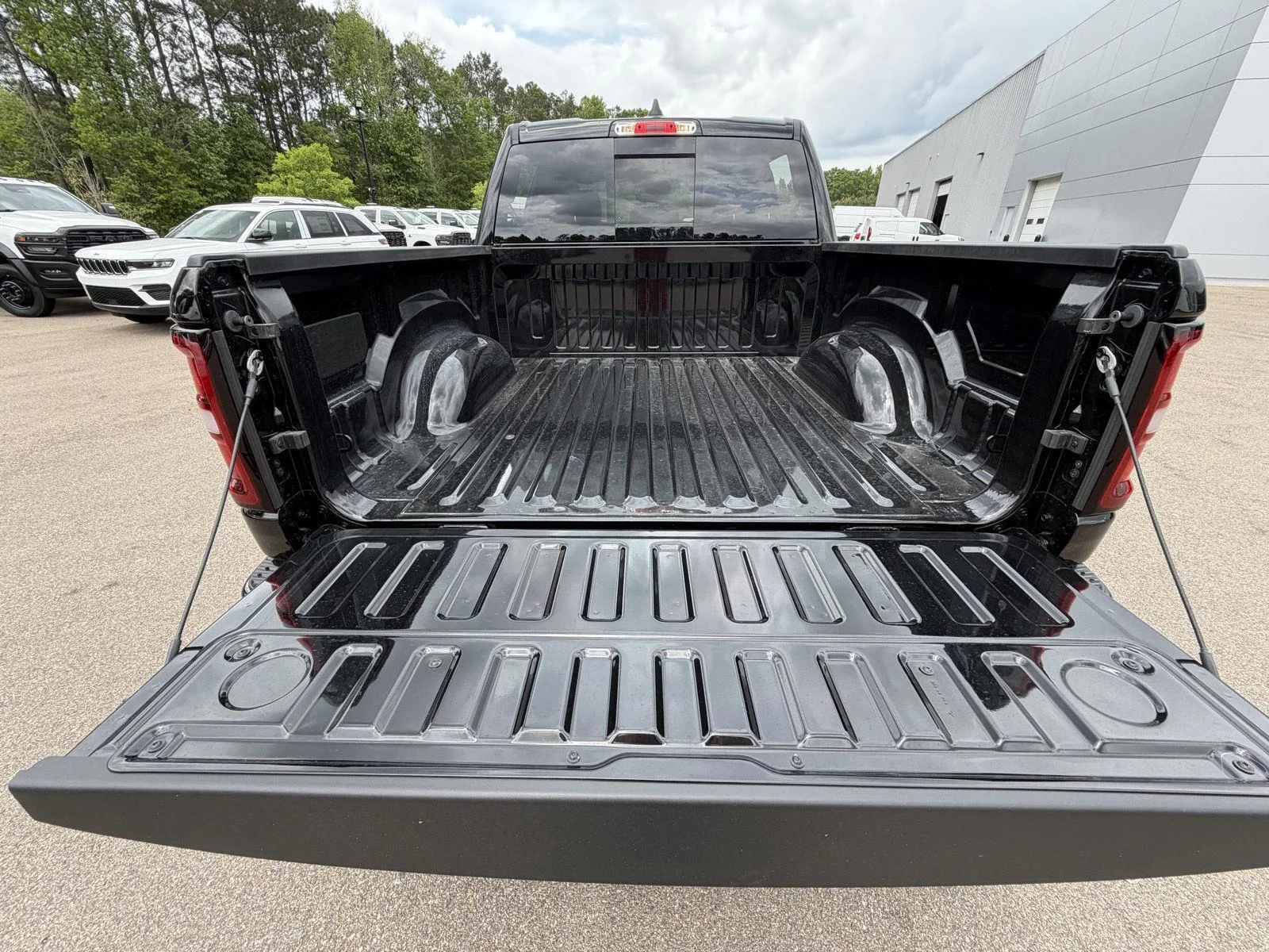 New 2026 Diamond Black Crystal Pearl-Coat Exterior Paint RAM Express image 19