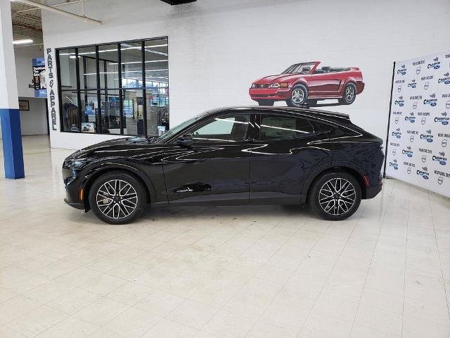 New 2026 Shadow Black Ford Premium image 4