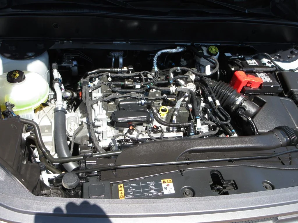 Photo 29