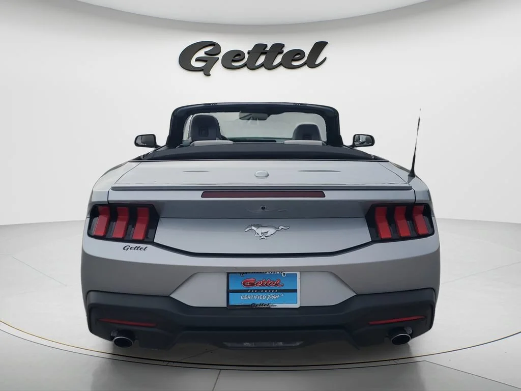 Used 2024 Silver Ford EcoBoost Premium Convertible image 6