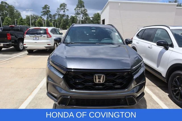 Used 2024  Honda Sport-L image 2